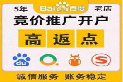 SEM竞价员的核心技能与成功案例解析